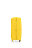 CURIO 2 69CM SPINNER EXP (Golden Yellow)